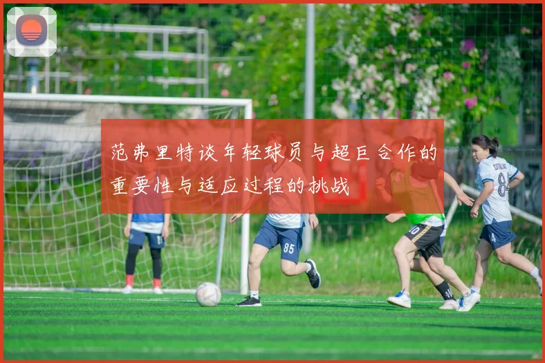 范弗里特谈年轻球员与超巨合作的重要性与适应过程的挑战